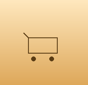 Cash on Delivery, Guest Checkout, and Why We Kept It Simple (For Now)