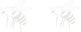 image shapes